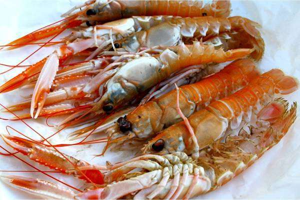langoustines spanish seafood paella recipe