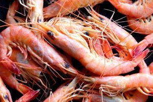 prawns prawn paella