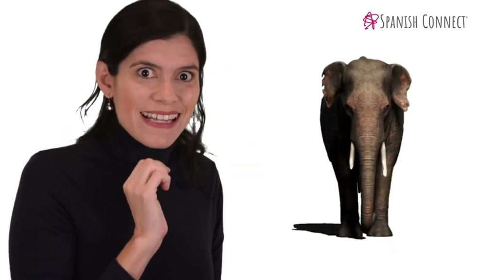 easy spanish song